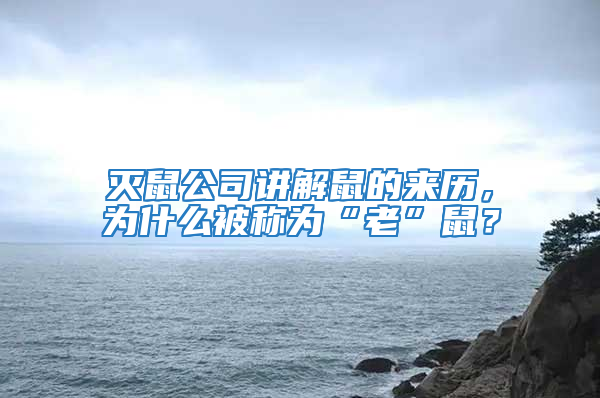 滅鼠公司講解鼠的來歷，為什么被稱為“老”鼠？