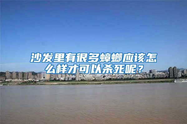 沙發里有很多蟑螂應該怎么樣才可以殺死呢?