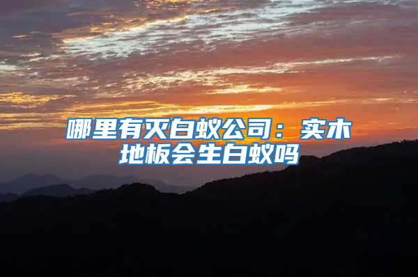 哪里有滅白蟻公司:實木地板會生白蟻嗎