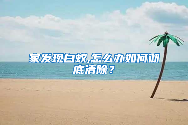 家發現白蟻,怎么辦如何徹底清除?