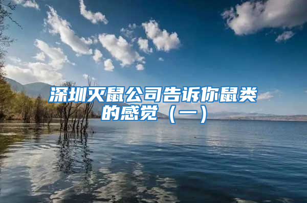 深圳滅鼠公司告訴你鼠類的感覺(一)