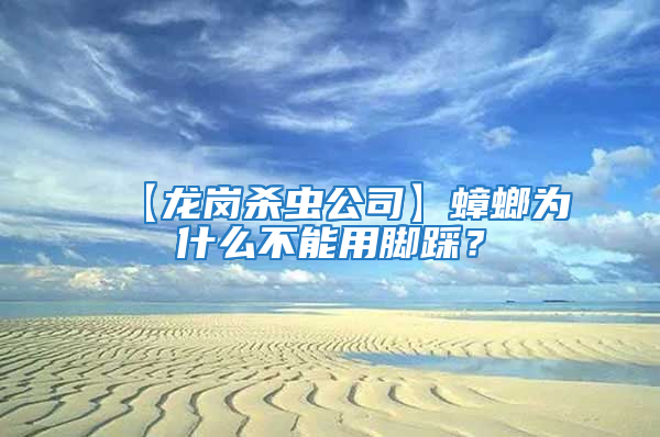 【龍崗殺蟲(chóng)公司】蟑螂為什么不能用腳踩？