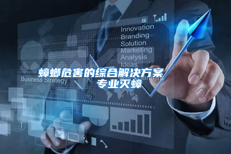 蟑螂危害的綜合解決方案     專業滅蟑