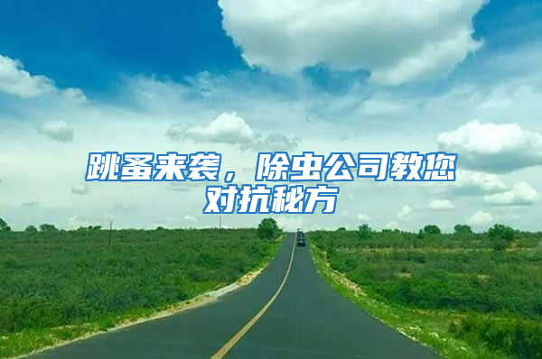 跳蚤來襲,除蟲公司教您對抗秘方