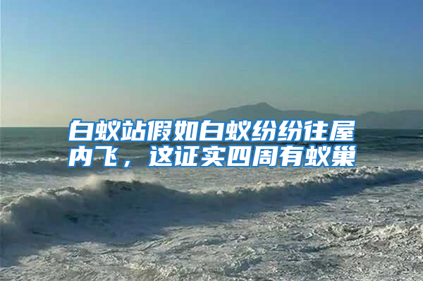 白蟻站假如白蟻紛紛往屋內飛,這證實四周有蟻巢