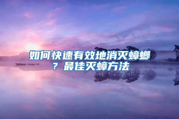 如何快速有效地消滅蟑螂?最佳滅蟑方法