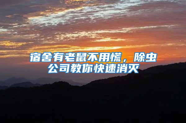 宿舍有老鼠不用慌,除蟲公司教你快速消滅