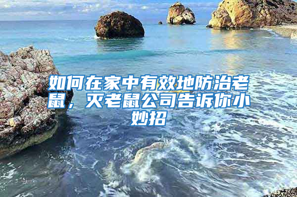 如何在家中有效地防治老鼠,滅老鼠公司告訴你小妙招