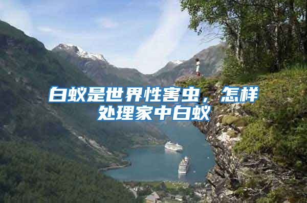 白蟻是世界性害蟲(chóng)，怎樣處理家中白蟻