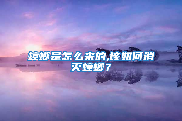 蟑螂是怎么來的,該如何消滅蟑螂?