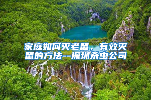 家庭如何滅老鼠,有效滅鼠的方法--深圳殺蟲公司