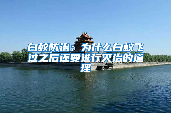 白蟻防治:為什么白蟻飛過之后還要進行滅治的道理