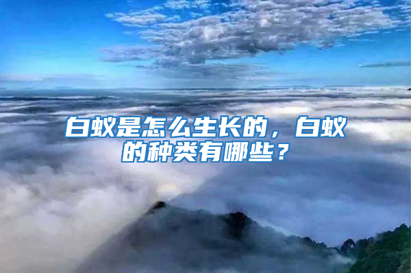 白蟻是怎么生長(zhǎng)的，白蟻的種類(lèi)有哪些？