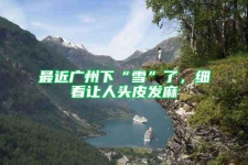 最近廣州下“雪”了，細看讓人頭皮發麻