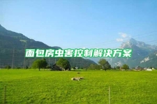 面包房蟲(chóng)害控制解決方案