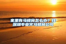 家里有馬蜂窩怎么辦？找深圳專(zhuān)業(yè)滅馬蜂窩公司